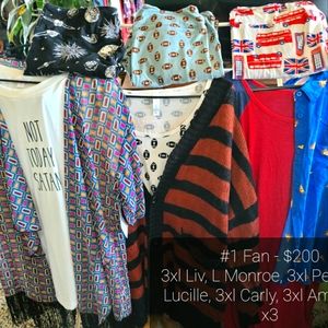 Plus-size Closet in A Box - #1 Fan